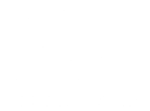 Projektet Ta bort bakgrunden (3)